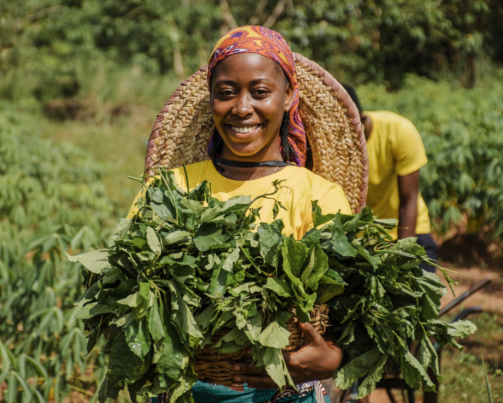 Agribusiness